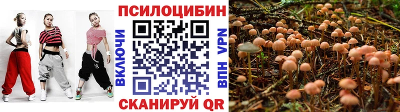 цены   Зубцов  Псилоцибиновые грибы MAGIC MUSHROOMS 